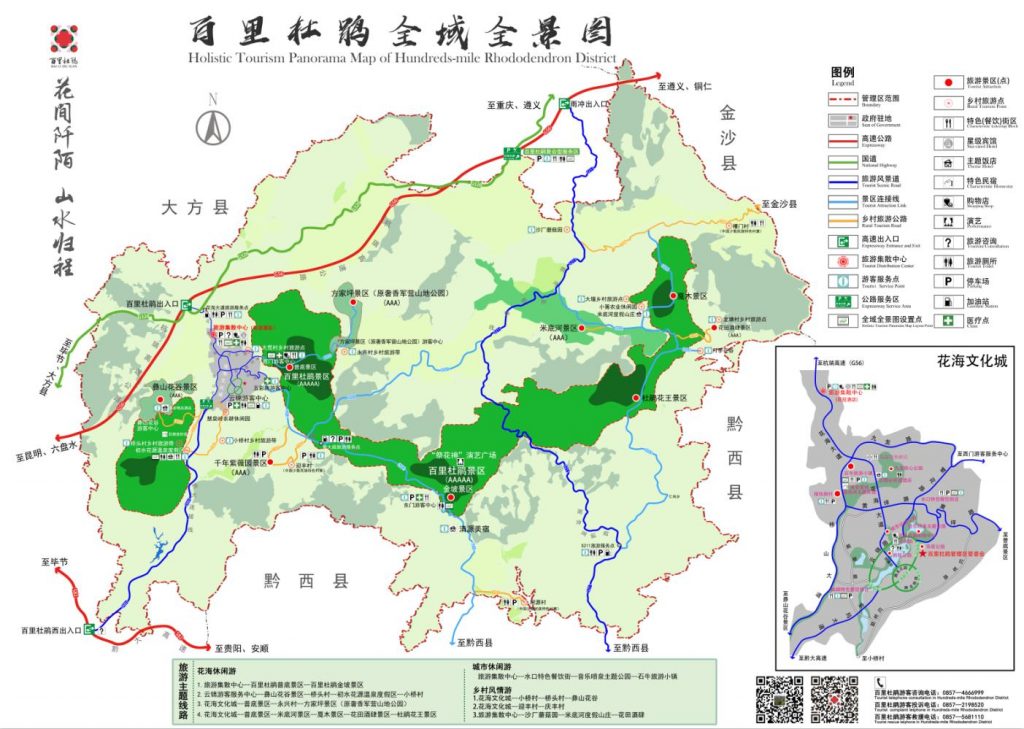 百里杜鹃